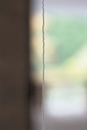PEELER／内藤礼 すべての動物は、世界の内にちょうど水の中に水